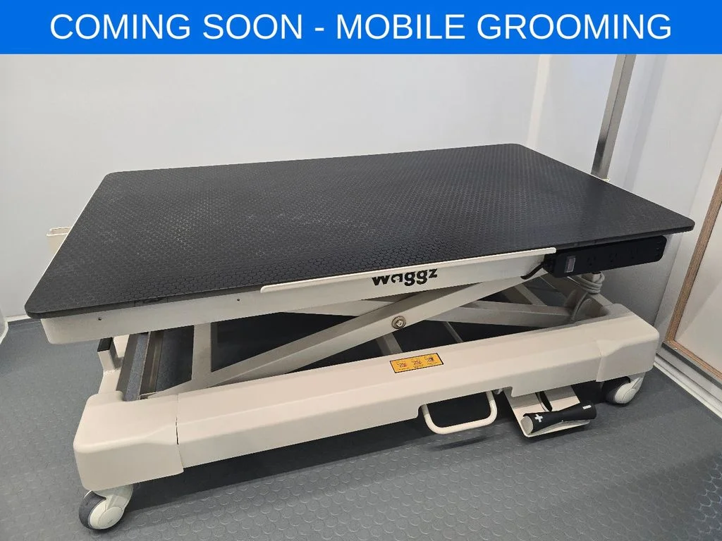 2026 Mercedes-Benz Sprinter Cargo Van Base - Photo 18
