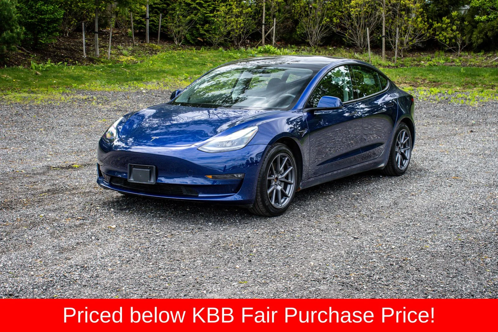 2022 Tesla Model 3 Long Range Dual Motor All-Wheel Drive's photo