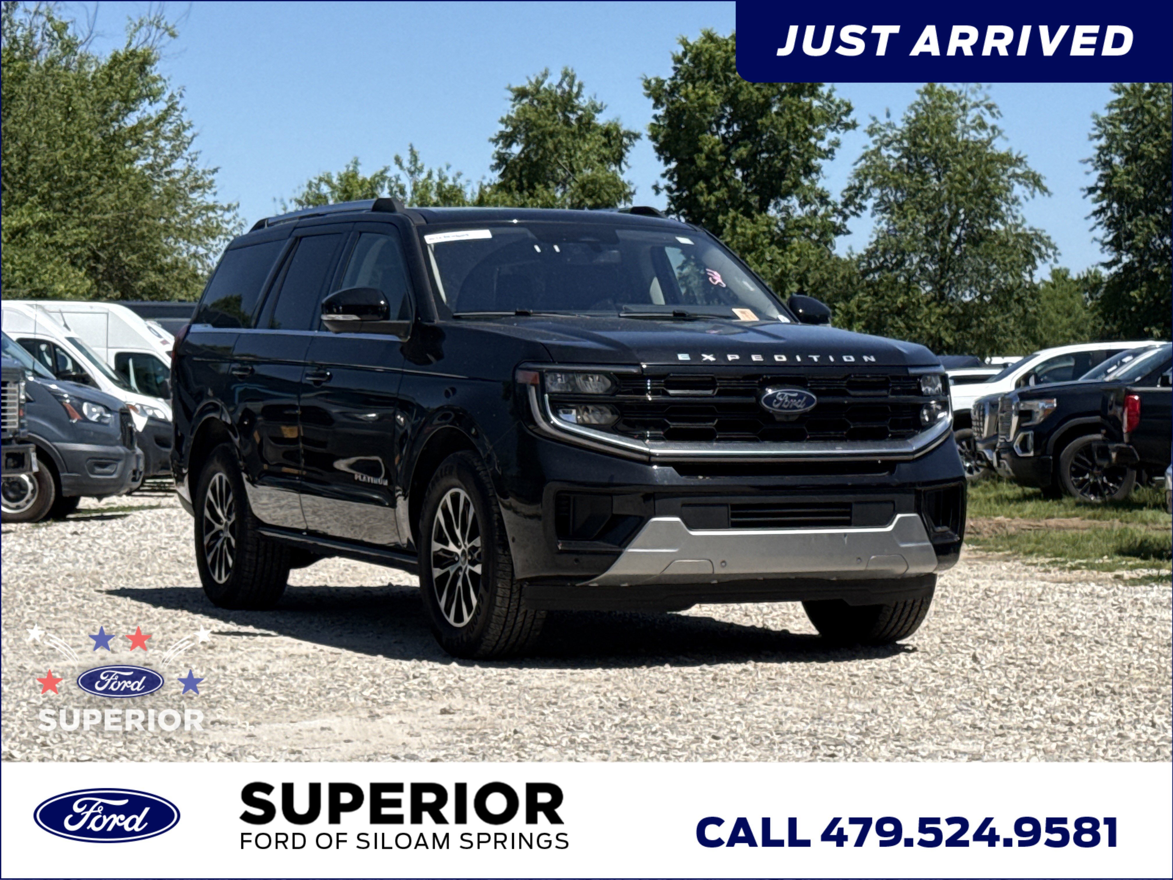 2025 Ford Expedition Platinum 4x4's photo