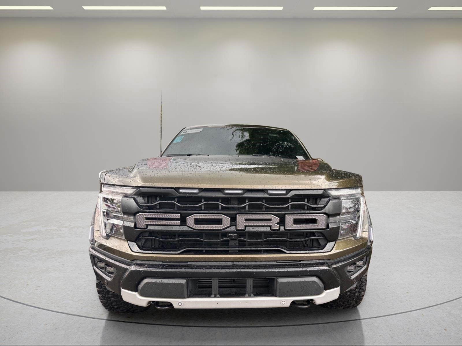 Used 2024 Shelter Green Ford Raptor image 8
