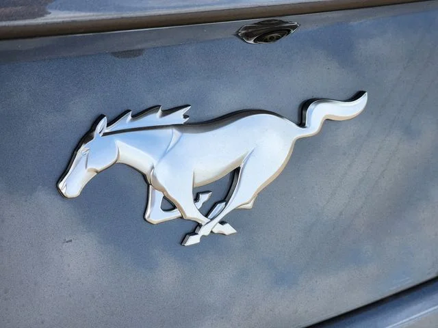 New 2026 Carbonized Gray Metallic Ford EcoBoost® Fastback image 13