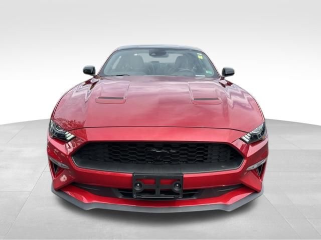 Used 2022 Red Ford EcoBoost Premium image 12