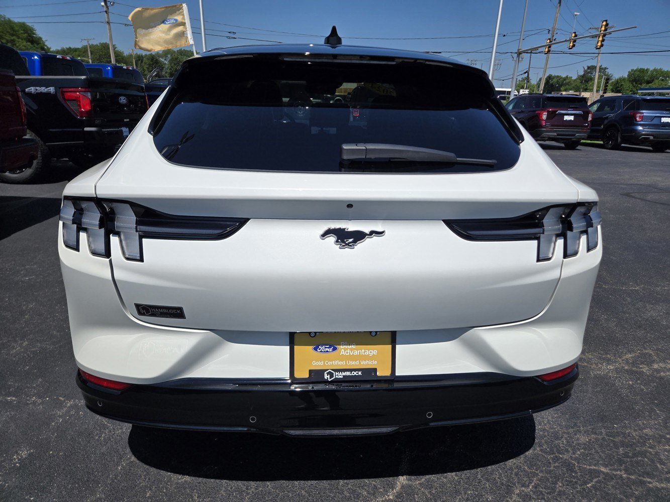 Used 2024 White Ford Premium image 6