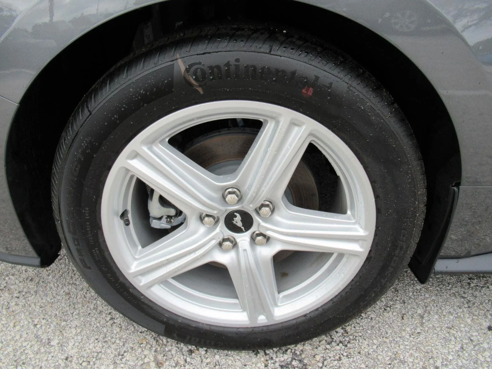 New 2026 Carbonized Gray Metallic Ford EcoBoost® Fastback image 8