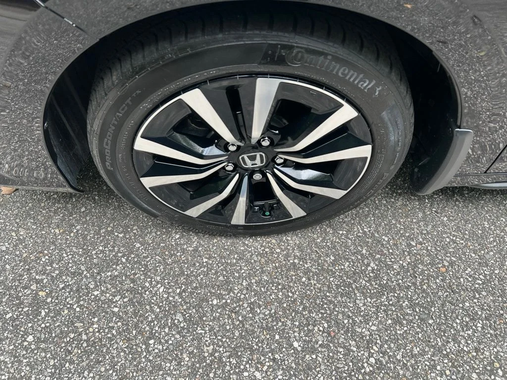 Used 2023 Black Honda EX-L image 12