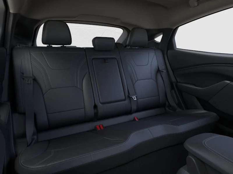 New 2026 Desert Sand Ford Premium image 11