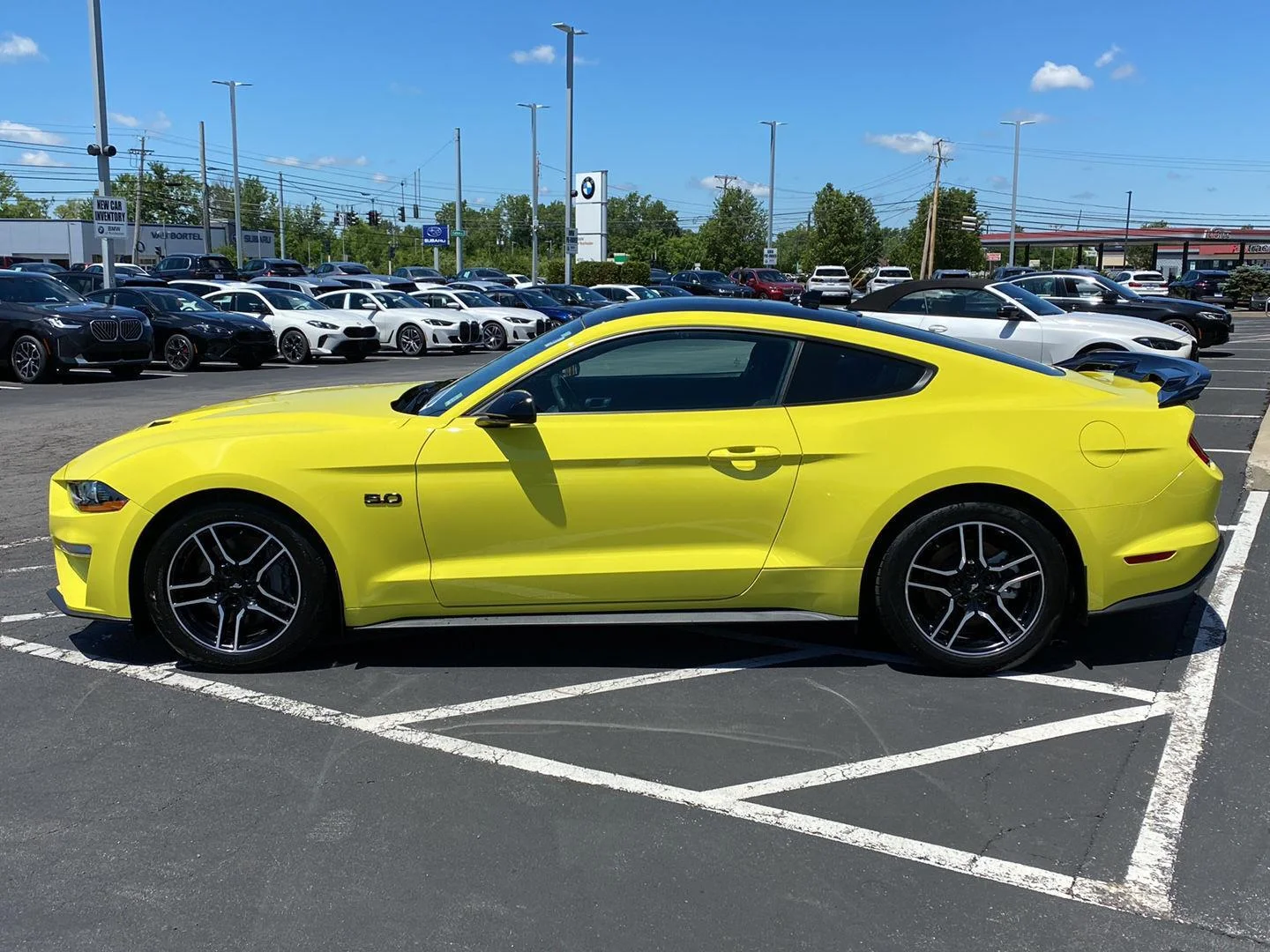 Used 2021 Grabber Yellow Ford GT image 12