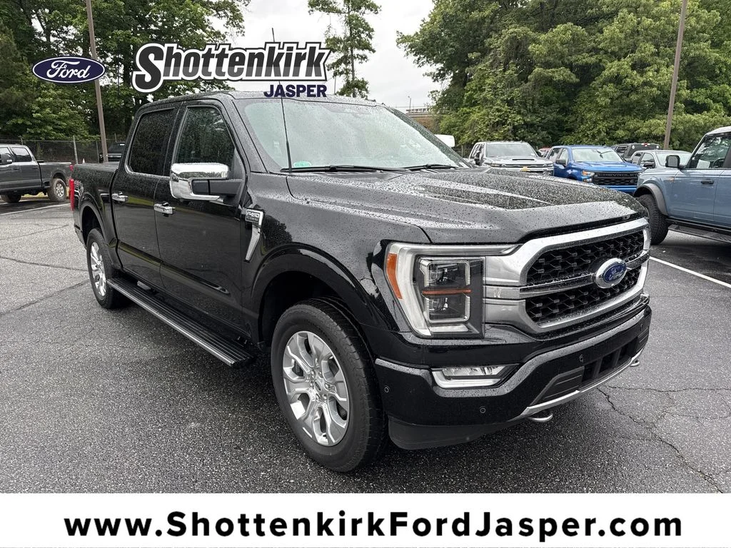 Used 2023 Black Ford Platinum image 1