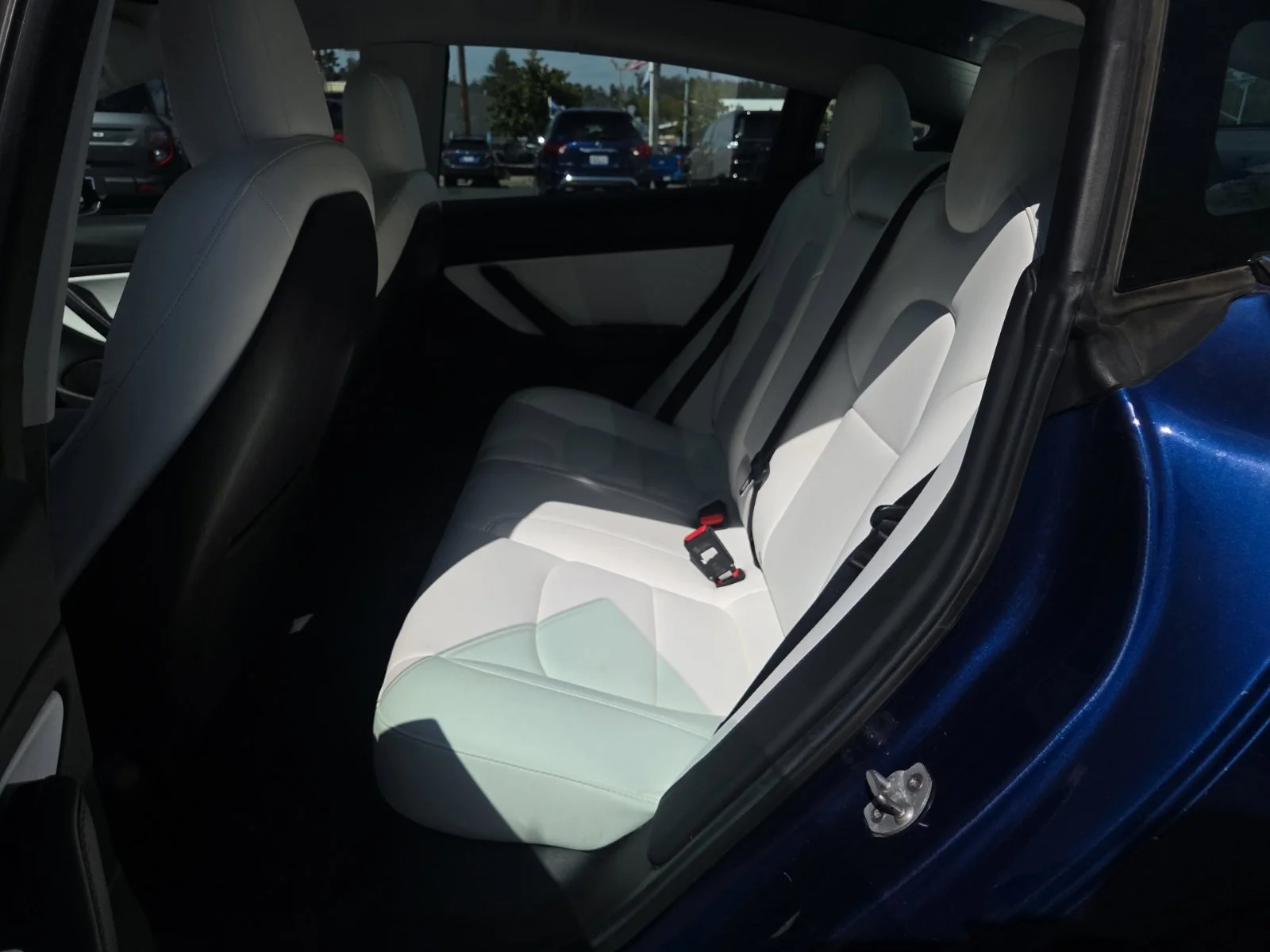 Used 2019 Blue Tesla Standard Range Plus image 13
