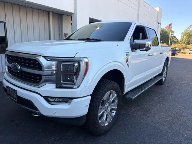 Used 2022 White Metallic Ford Platinum image 2