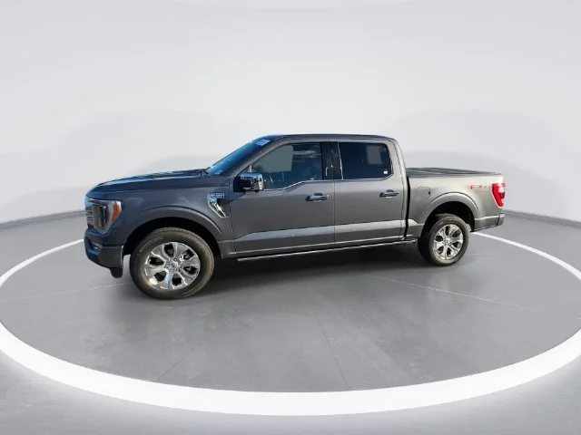 Used 2021 Gray Ford Platinum image 3