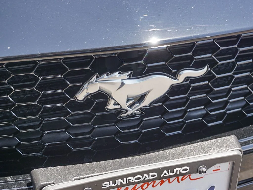 Used 2024 Black Ford GT Premium image 12