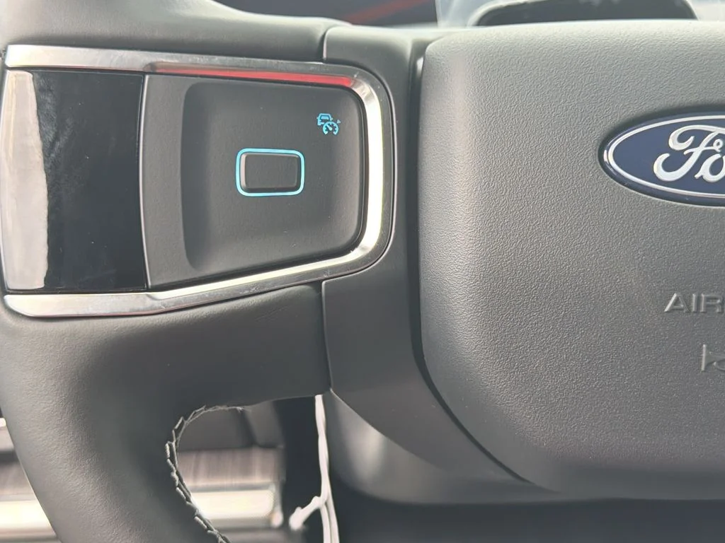 New 2026 Gray Ford Platinum image 24