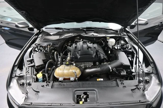 Used 2015 Black Ford EcoBoost Premium image 12