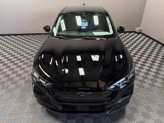 Certified Used 2026 Shadow Black Ford Premium image 5