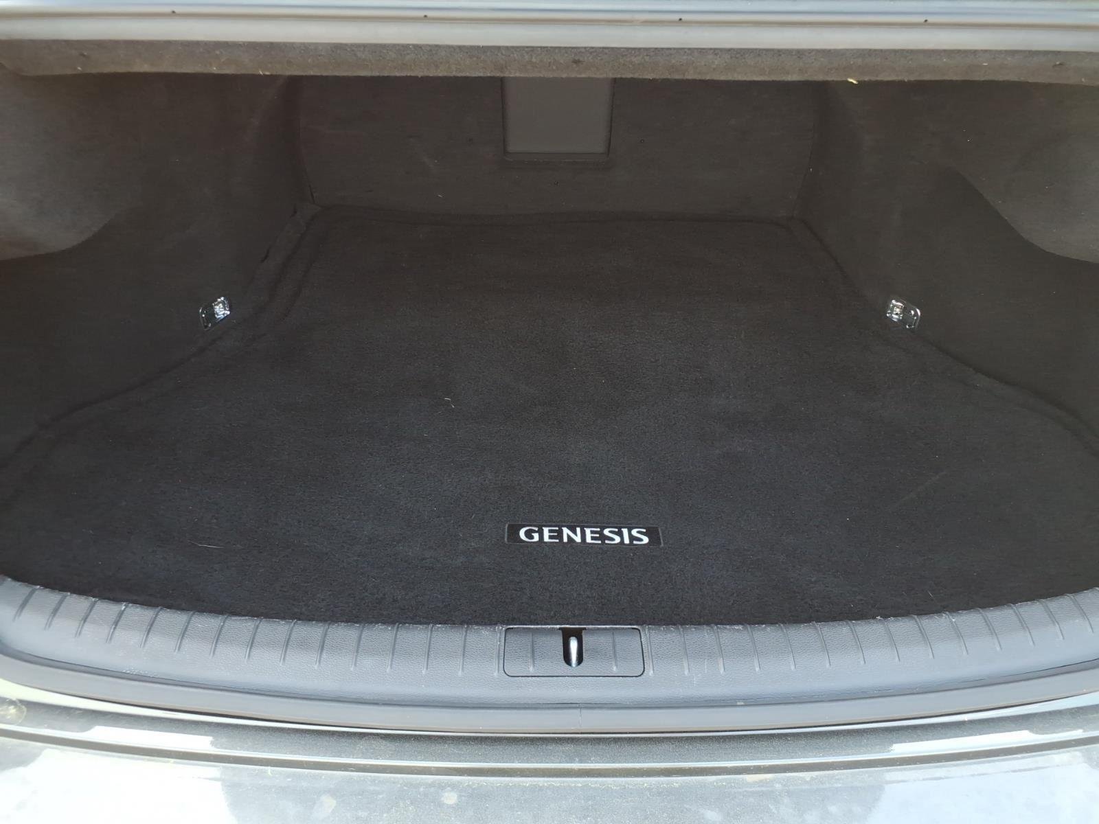 Used 2020 Himalayan Gray Genesis 3.8L image 25