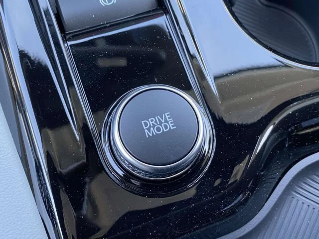 New 2026 Gray Ford Platinum image 15