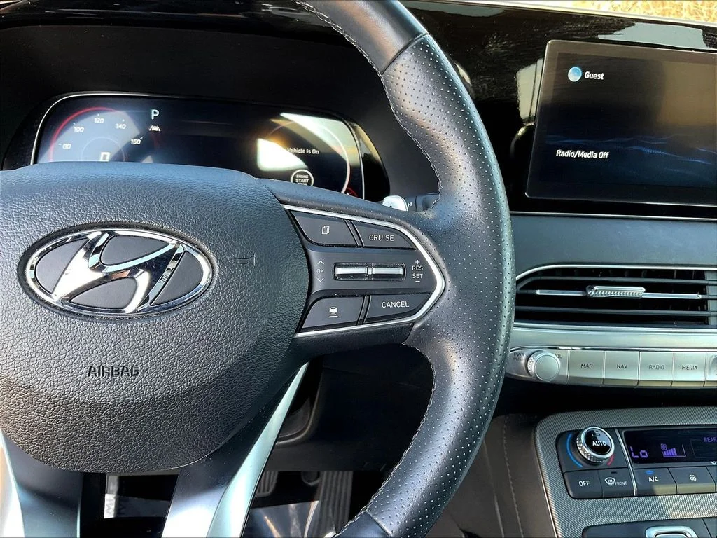 Used 2022 Rainforest Hyundai Calligraphy image 12