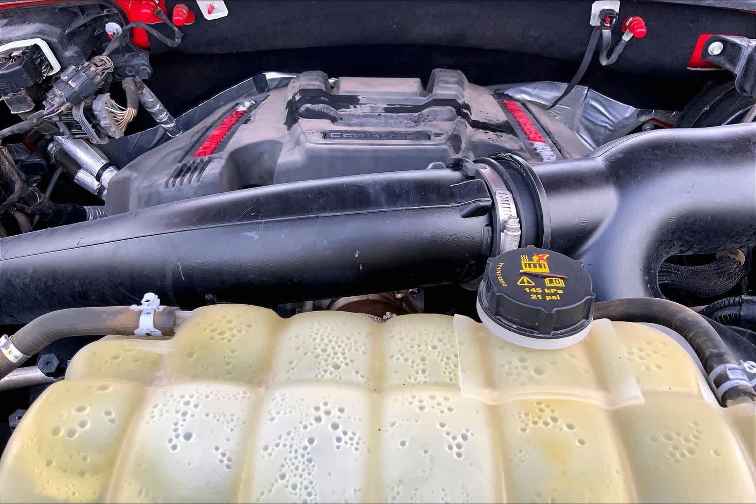Used 2019 Race Red Ford Raptor image 33