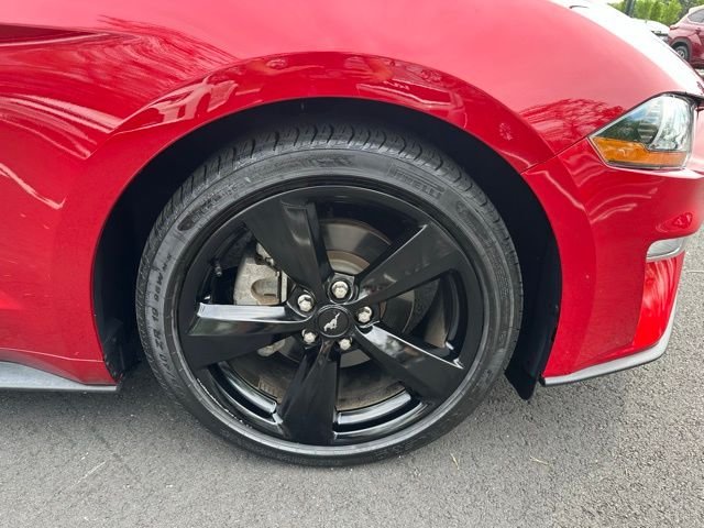 Used 2022 Red Ford EcoBoost Premium image 14
