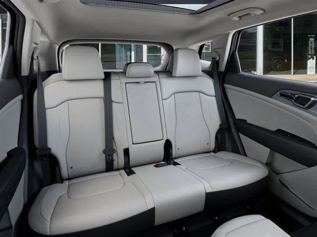 New 2026 Panthera Metal Gray Kia EX image 16