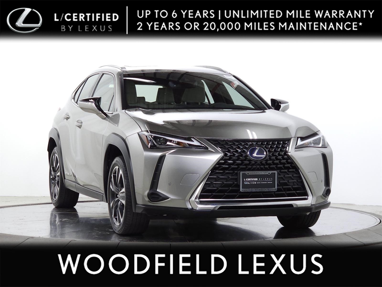 2021 Lexus UX 300h 250h AWD's photo