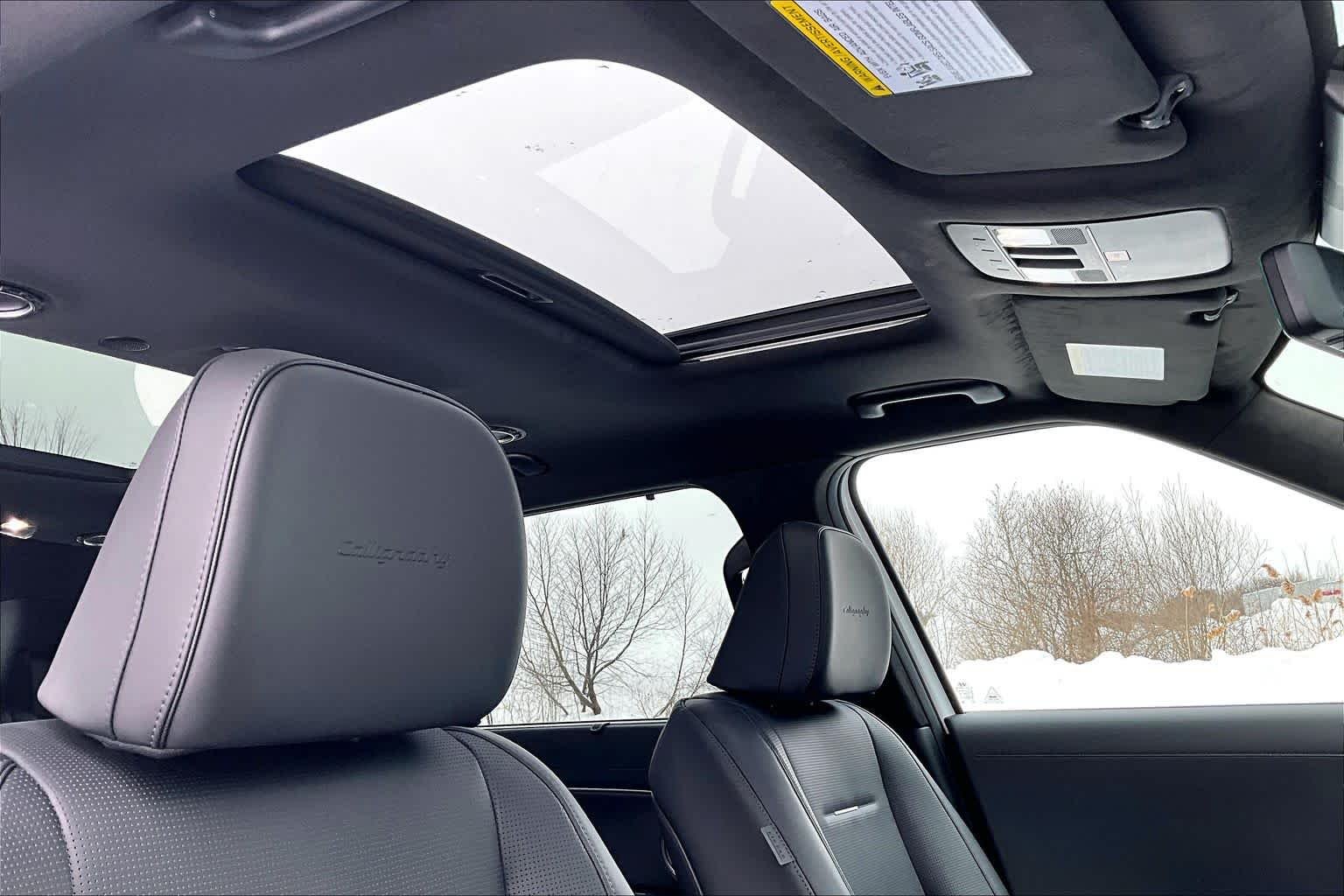 2026 Hyundai Palisade Calligraphy - Photo 14