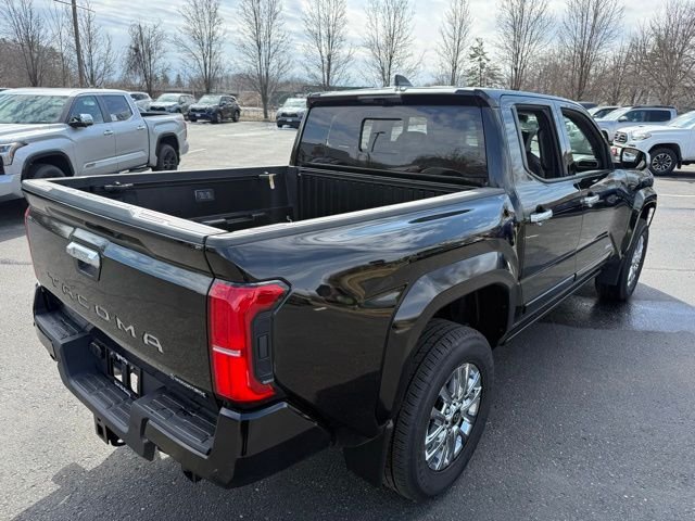 2025 Toyota Tacoma Limited - Photo 9