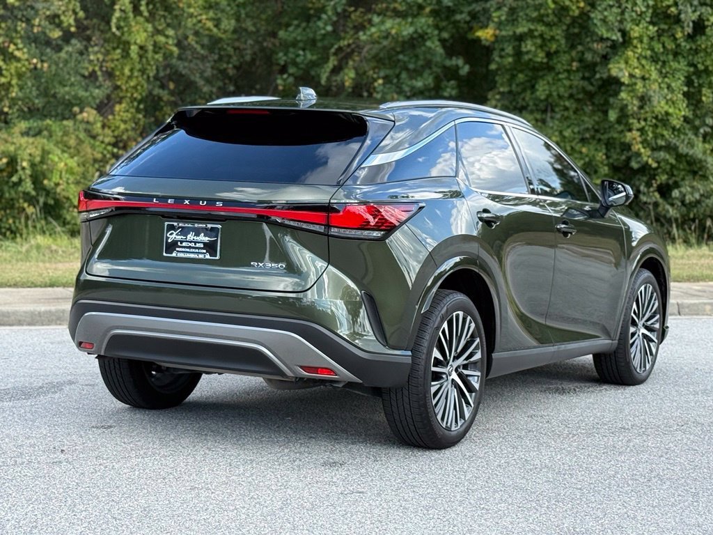 2025 Lexus RX 350 - Photo 13
