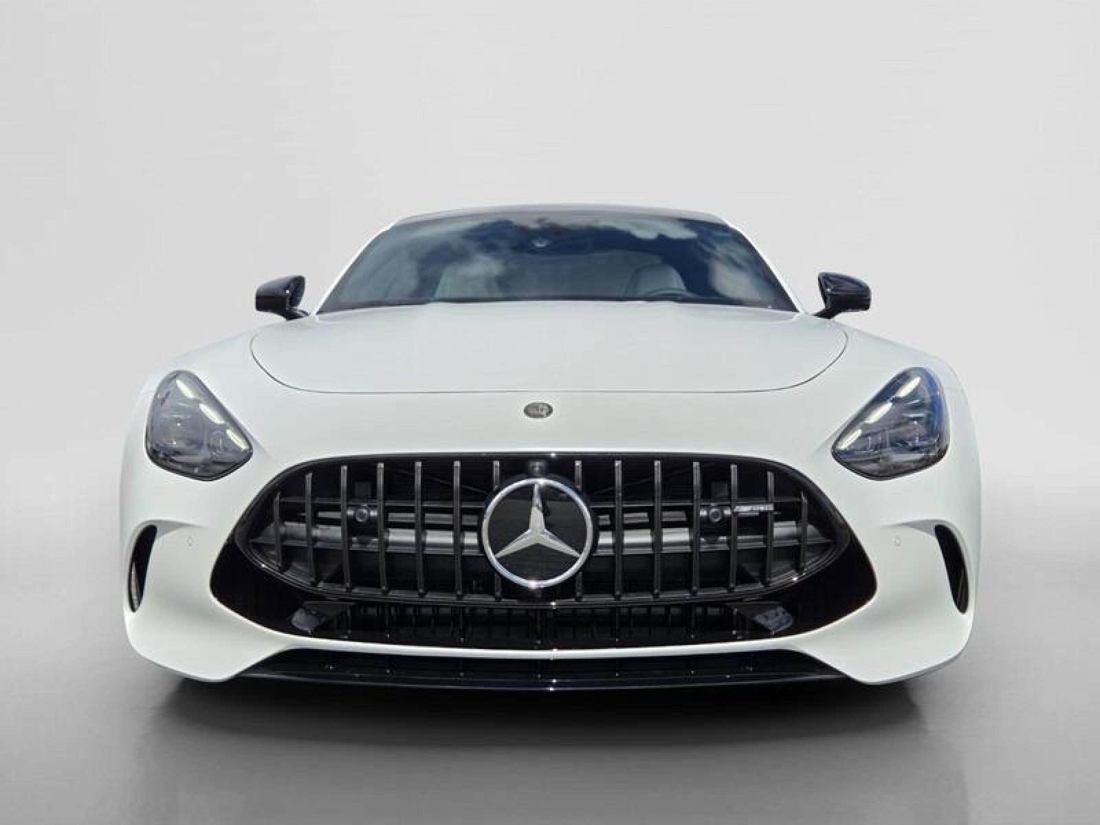 2026 Mercedes-Benz AMG GT Coupe 63 S E Performance - Photo 9