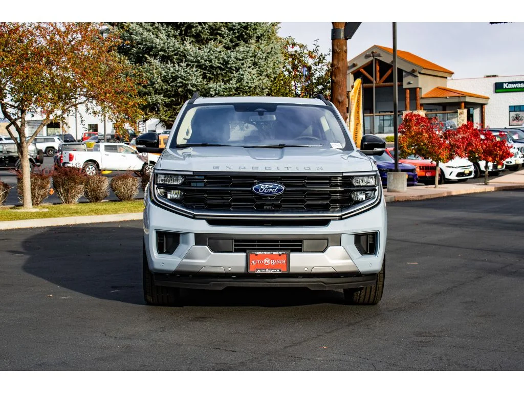 New 2025 Glacier Gray Metallic Tc Ford Platinum image 3