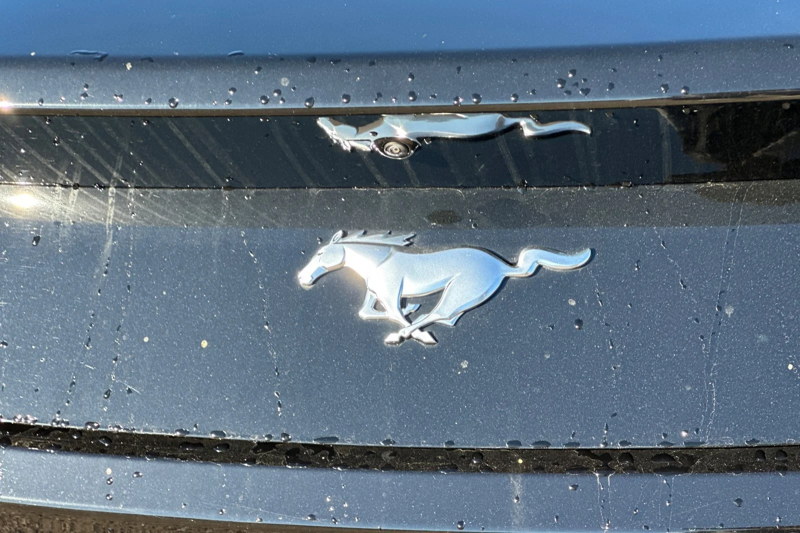 2026 Ford Mustang EcoBoost Premium Fastback - Photo 21