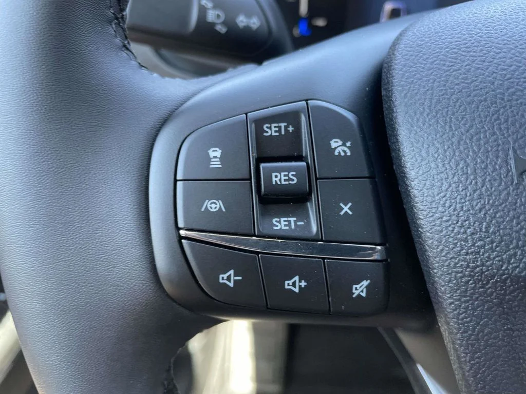 New 2026 Gray Ford Heritage image 24