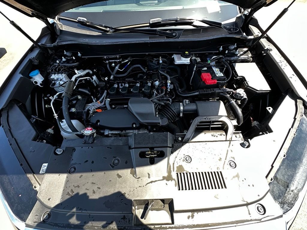Used 2025 Black Honda EX-L image 16