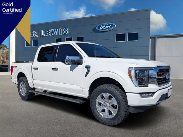 2023 Ford F-150 Platinum