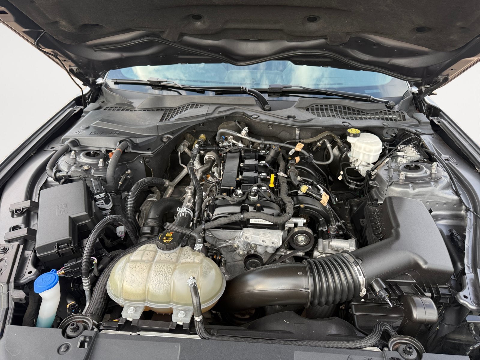 Used 2022 Gray Metallic Ford EcoBoost image 26