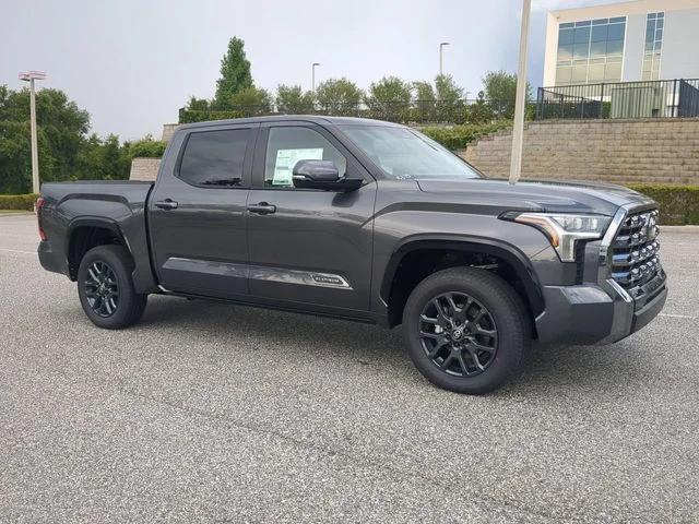 New 2026 Magnetic Gray Metallic Toyota Platinum image 2