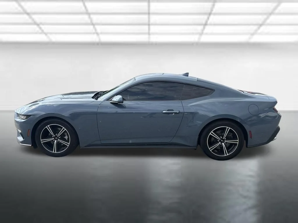 Used 2025 Blue Ford EcoBoost image 10