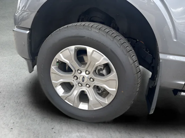 Used 2021 Gray Ford Platinum image 20