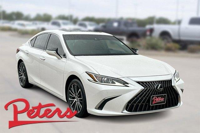 2025 Lexus ES 300h 300h's photo