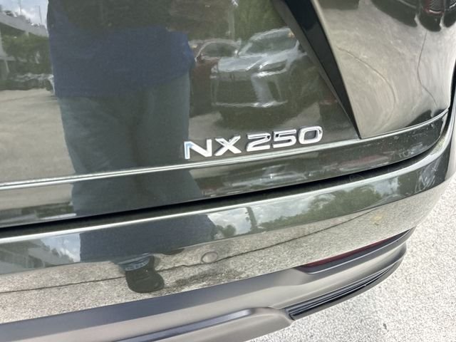 2025 Lexus NX 250 - Photo 25
