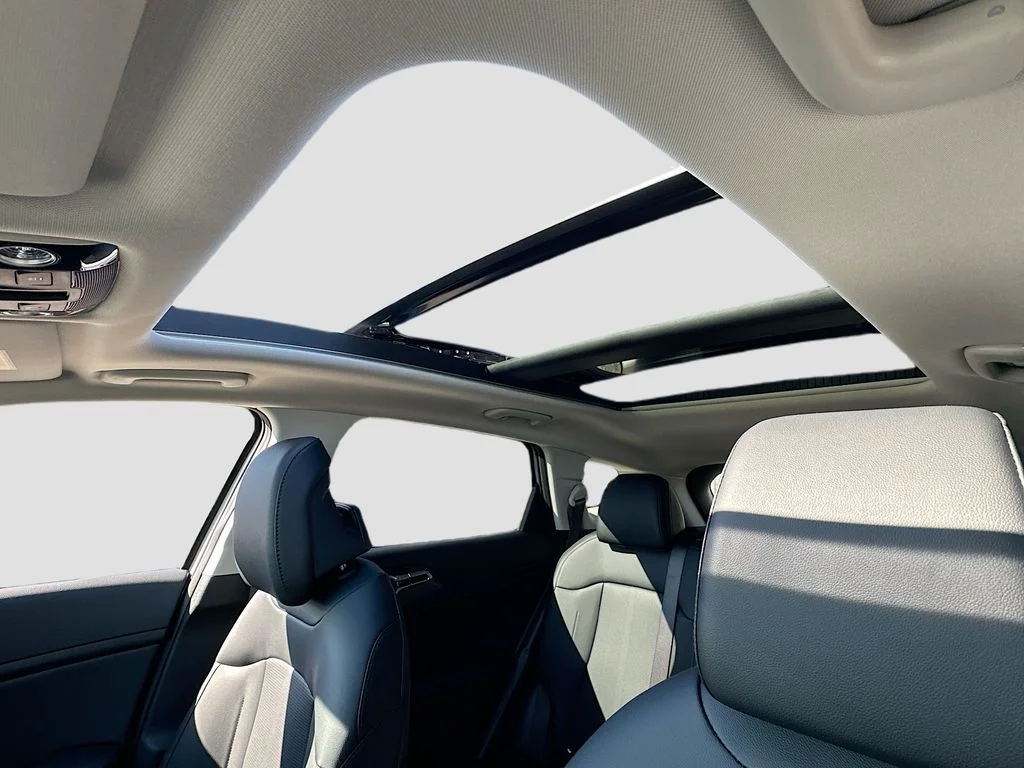 New 2026 Wolf Gray Kia EX image 21