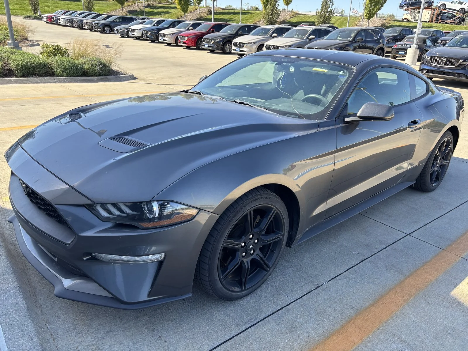 2019 Ford Mustang