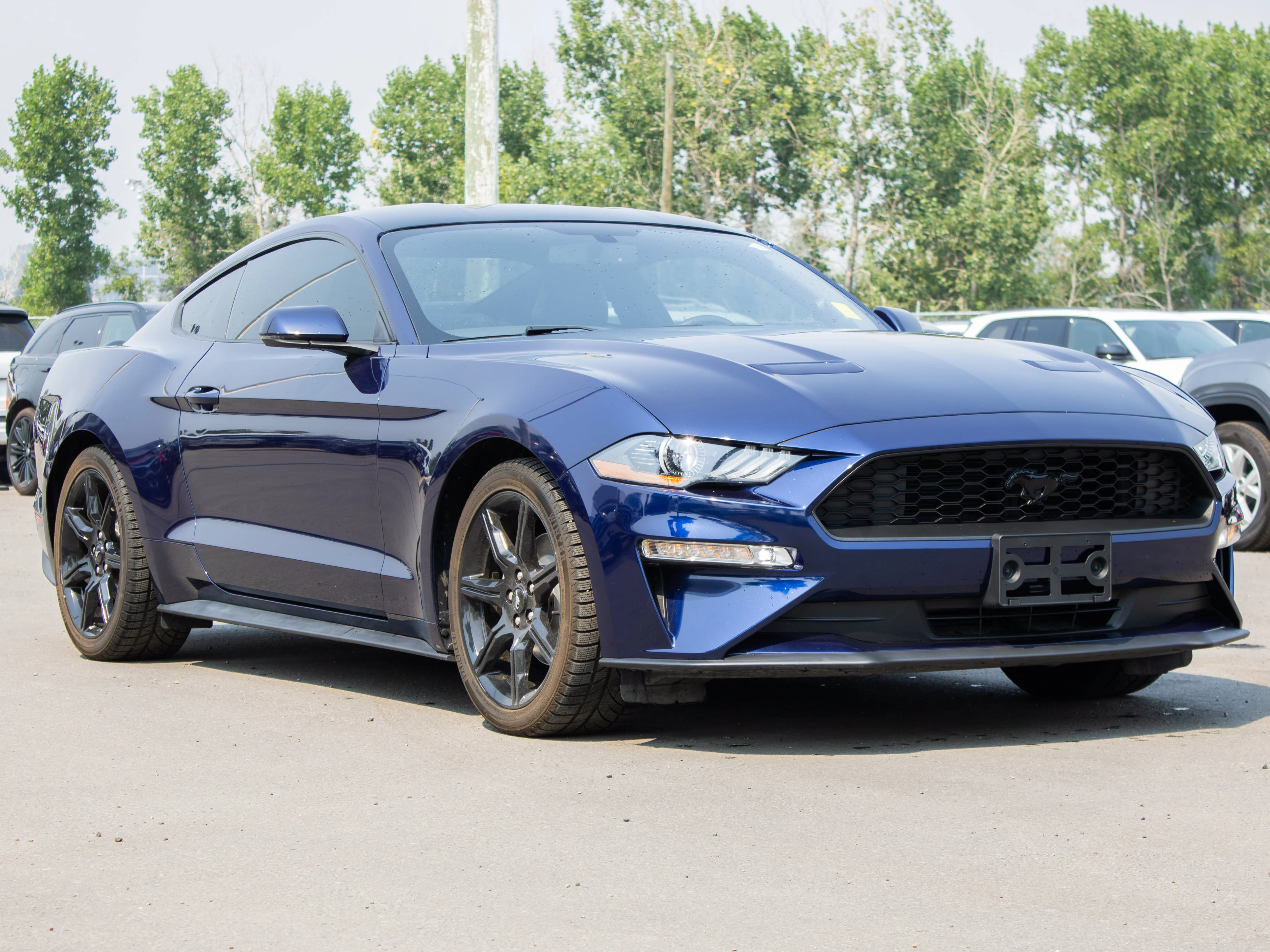 Certified Used 2020 Blue Ford EcoBoost Premium * No Accidents | 3M PPF | Heated/Cooled Seats | Backup Camera | Apple CarPlay image 9