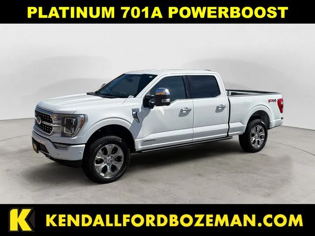 2023 Ford F-150 Platinum