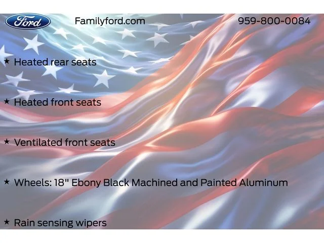 New 2026 Agate Black Metallic Ford F-250® Platinum® image 55