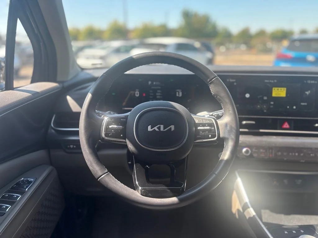 Used 2026 Panthera Metal Kia LXS image 23