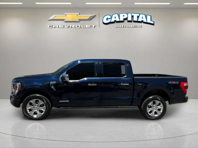 Used 2023 Blue Ford Platinum image 2