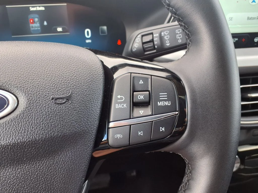 Used 2025 Gray Ford Platinum image 23