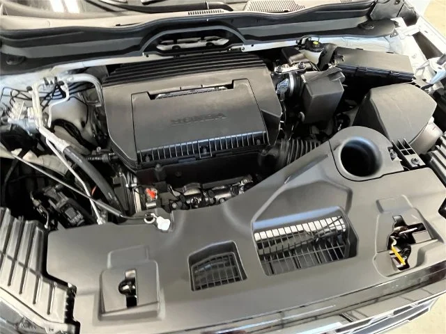New 2026 Platinum White Pearl Honda Black Edition image 12